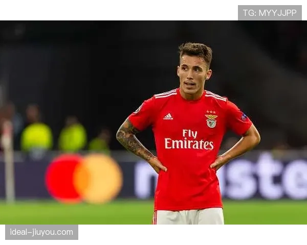 格里马尔多在本菲卡的稳健表现如何奠定其成名之路？