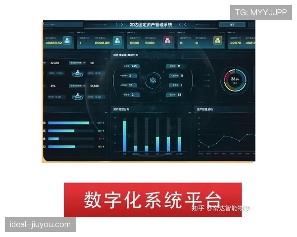 博尼法斯与伊萨克：力量型与技术流前锋的实战效能对比