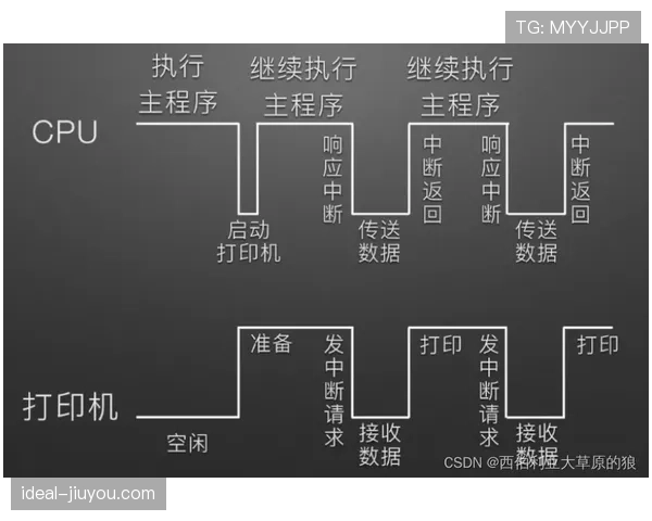 I组黑马路线图预测